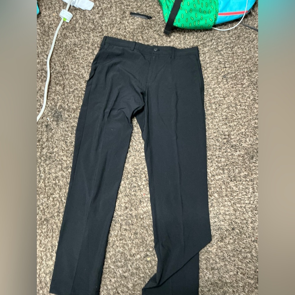Dress pants